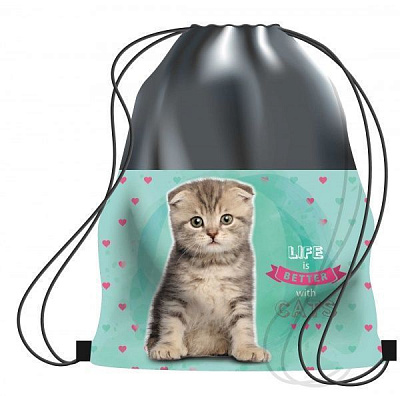 Сумка для обуви 46x32 см Life with cats