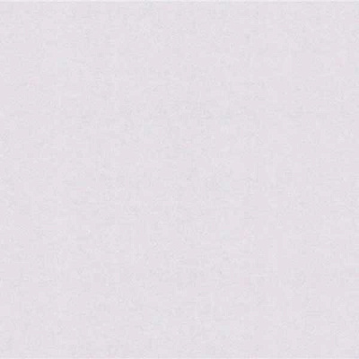 Шпалери зі спіненого вінілу Bravo категорія 538 84005BR82 1,06x10,05 м