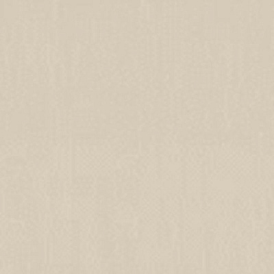 Шпалери Vinil Фк СШТ 6-1215