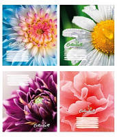 Комплект зошитів 24 аркуша в лінію Квітка Поліграфіст