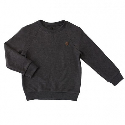 Толстовка для мальчика Smil р.152 серый меланж 116533 