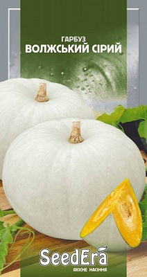 Насіння Seedera гарбуз Волзький сірий 3г (4823073702604)