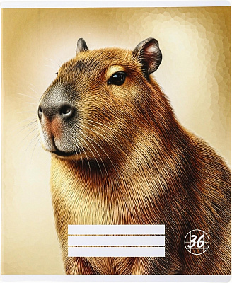 Зошит шкільний Capybara_26 36 аркушів Nota Bene