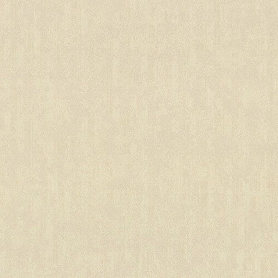 Шпалери вінілові гарячого тиснення Vinil Андреас ТФШ 3-1346 1,06x10,05 м