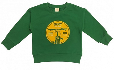 Джемпер для хлопчика Роза р.104 зелений 210578