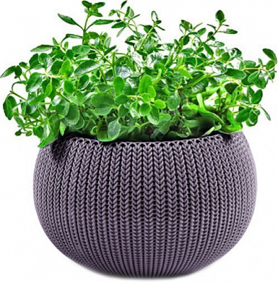 Горщик пластиковий Keter Cozies М з ланцюжком круглий 9,4л бузковий