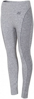 Термобрюки 4F H4Z19-BIDB004D-26M L/XL серый