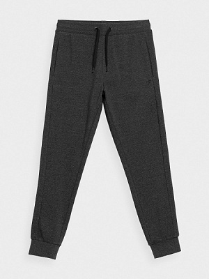 Брюки 4F NOSH4-SPMD351-24M р. S светло-серый меланж