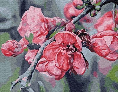 Картина по номерам Расцвевшая нежность bk_1075 BookOpt 