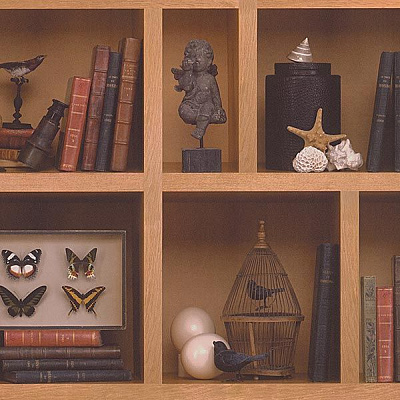 As Creation Move Your Wall 96030-1 0.53x10.05 м