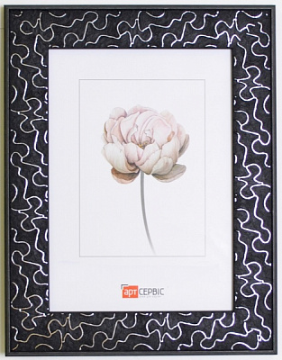 Рамка для фото Арт-Сервіс ЭА-01847 1 фото 21х30 см черный с серебряным 