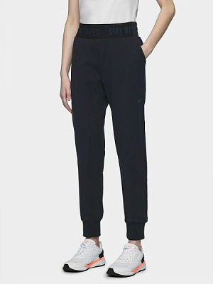 Штани 4F H4L21-SPDD013-31S р. 2XL темно-синій