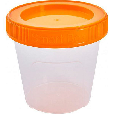 Контейнер пластиковий Алеана 124084 «Smart Box» 0,35 л світло-помаранчевий