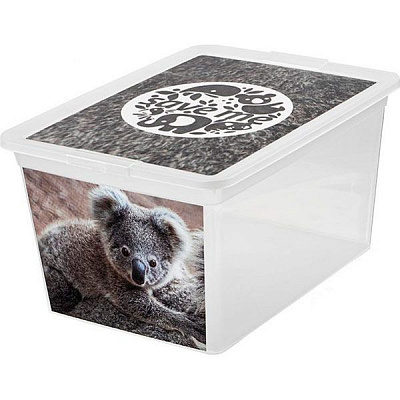 Ящик для зберігання BranQ 7330.2 X-BOX з малюнком 