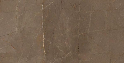 Плитка Allore Group Pulpis Brown W M NR Glossy 31x61 2 сорт