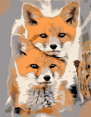 Картина за номерами Лисиці 35x45 см Rosa Start