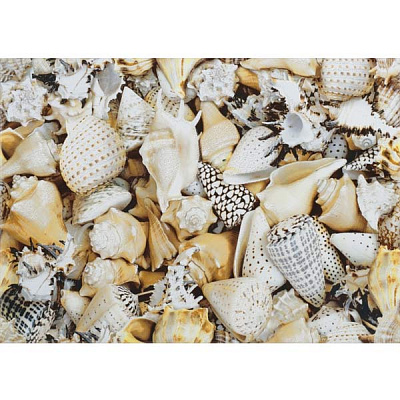 Декор Opoczno Ницца Ракушки А 300х450 мм