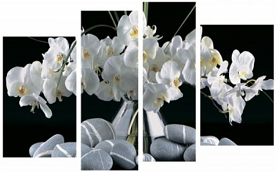 Картина модульна Квіти K-797 118x75 см