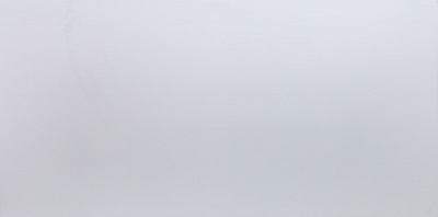 Плитка Allore Group Snow White F P R Satin 60x120 см