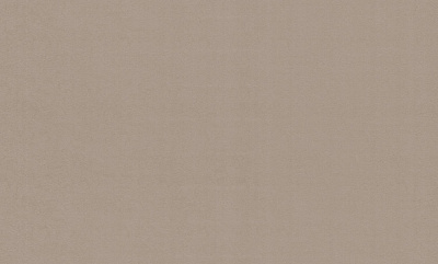 Обои виниловые на флизелиновой основе WallCOLOR W 151 C 03 1,06x10,05 м