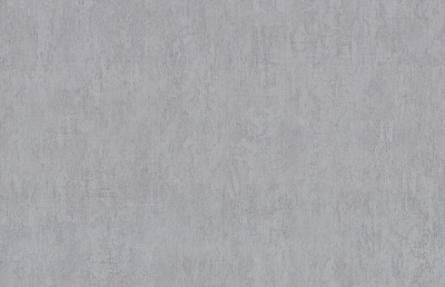 Шпалери вінілові на флізеліновій основі Vinil Бетон ЭШТ 3-1563 1,06x10,05 м