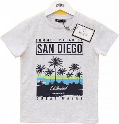 Футболка для мальчиков Wanex 10879 р.116 серый 