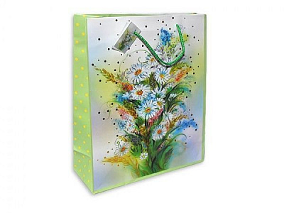 Пакет паперовий Ромашки 23x18x10 см
