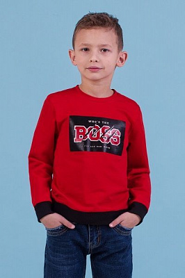 Джемпер Zironka р.110 червоний Z1-76-0001-2