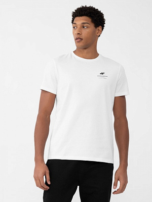 Футболка 4F TSHIRT M0951 4FAW23TTSHM0951-10S р.M белый
