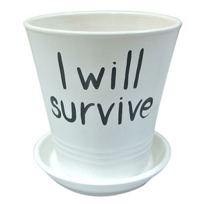 Горшок керамический Ориана-Запорожкерамика Модерн I will survive круглый 1л белый