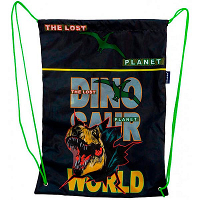 Сумка для обуви Dino World 46 х 33 см CLASS