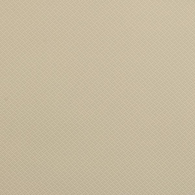 Шпалери зі спіненого вінілу Amber BellaVita 369524 0,53x10,05 м