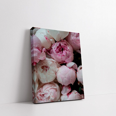 Картина на холсте Пионы 70x50 см WS Holst 14082215,2 