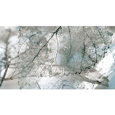 Плитка InterCerama Magia декор серый Д 61 071-1 23x50 