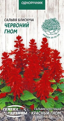 Семена Семена Украины сальвия блестящая Красный Гном 0,2 г (4823099809028)