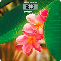 Весы напольные Scarlett SC-BS33E040
