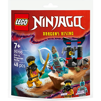 Конструктор LEGO NINJAGO Арін проти Дракона: Битва 30700