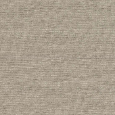 Шпалери вінілові на флізеліновій основі RASCH Jolly 970647 1,06x10,05 м