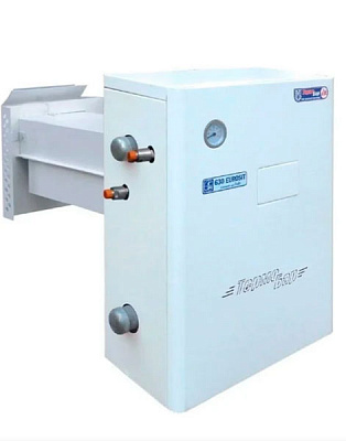 Котел газовый КС-ГВС-12.5 ДS парапетный