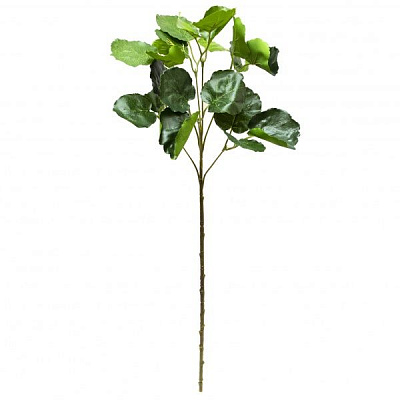 Квітка штучна гілочка Полісциасу 67 см зелена 631635