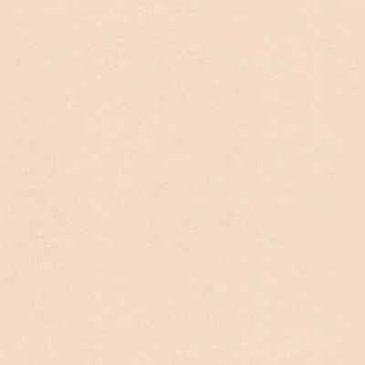 Шпалери RASCH Philomina 961911