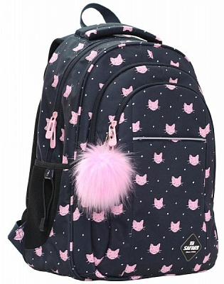 Ранец школьный Safari 2 отделения 21-181L