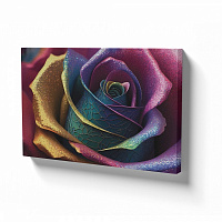 Картина на полотні Різнобарвна троянда 80x110 см WS Holst 2205380173 