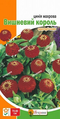 Семена Яскрава цинния Вишнёвый Король махровая бордовая 0,5 г