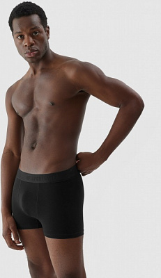 Труси 4F BOXER SHORTS M027 (2PACK) 4FAW23UBXSM027-91S р.L різнокольоровий