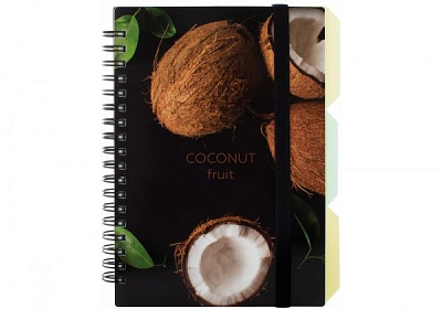 Блокнот Coconut B6 спіраль з роздільниками 100 арк. клітинка O20358-02 Optima