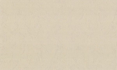 Шпалери вінілові гарячого тиснення Vinil Агава ЭШТ 3-1406 1,06x10,05 м