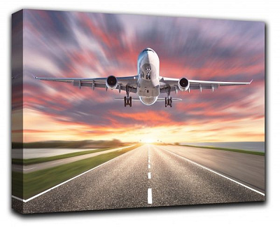 Репродукция Take off 80 см RozenfeldArt 