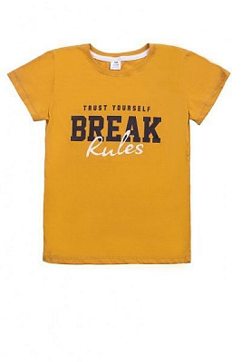 Футболка для мальчиков Luna Kids с принтом Break р.164 желтый 