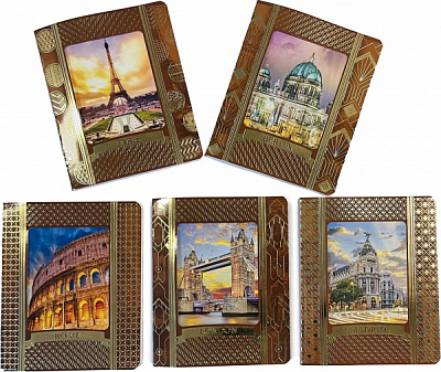 Тетрадь 48 л. в клетку ФОЛЬГА Тетрада